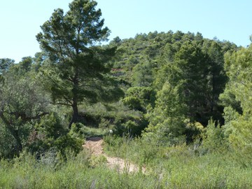 seite-seminare-visionssuche-3