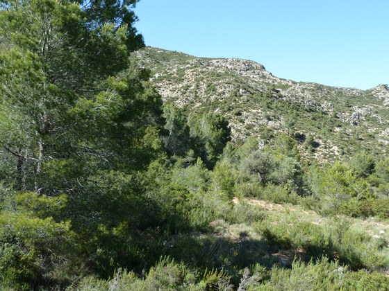 seite-seminare-visionssuche